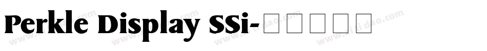 Perkle Display SSi字体转换